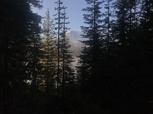 Image of a view of the mountain through the trees