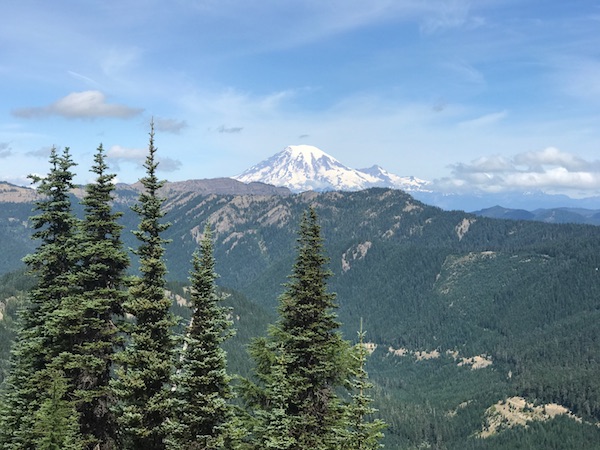 Image of a view of the mountain beyond the trees